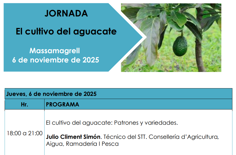 JORNADA: EL CULTIVO DEL AGUACATE